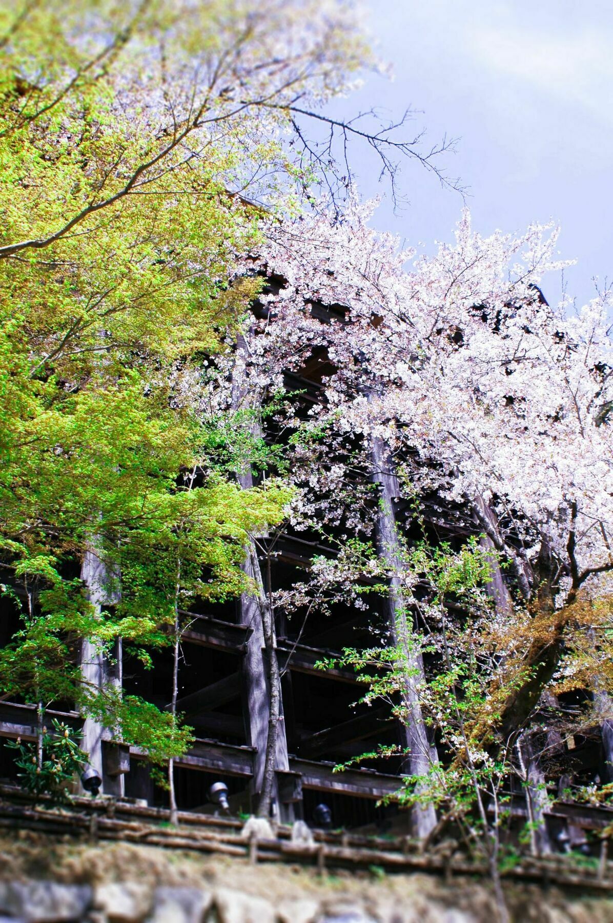 Stay Sakura Kyoto Machiya Akari Bagian luar foto